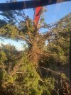 IMG_0341.jpeg