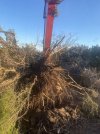 IMG_0340.jpeg