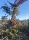 IMG_0339.jpeg