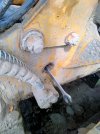 IMG20241020093803.jpg