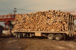 scan246.jpg