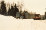 scan259.jpg