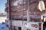 scan297.jpg