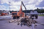 scan315.jpg