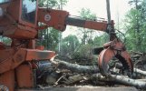 scan337.jpg