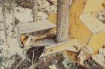 scan379.jpg
