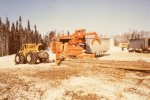 scan447.jpg