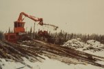 scan454.jpg