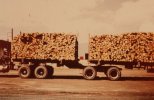 scan481.jpg