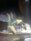 IMG_1386.jpeg