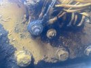 IMG_5559.jpeg