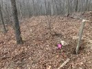 IMG_0949.jpeg