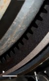 IMG_7531.jpeg