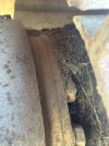 IMG_3828.jpeg