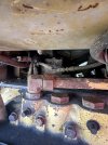 IMG_3829.jpeg