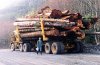 loggingtruck.jpg