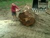 big log.jpg