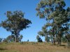 BlackwillowEcoFarm-DSC04108.jpg