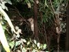 BlackwillowEcoFarm-DSC03552.jpg