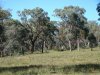 BlackwillowEcoFarm-DSC03992.jpg