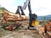 big logs 038 (Custom).jpg