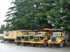 DSC02515s.jpg
