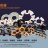 Universal Parts